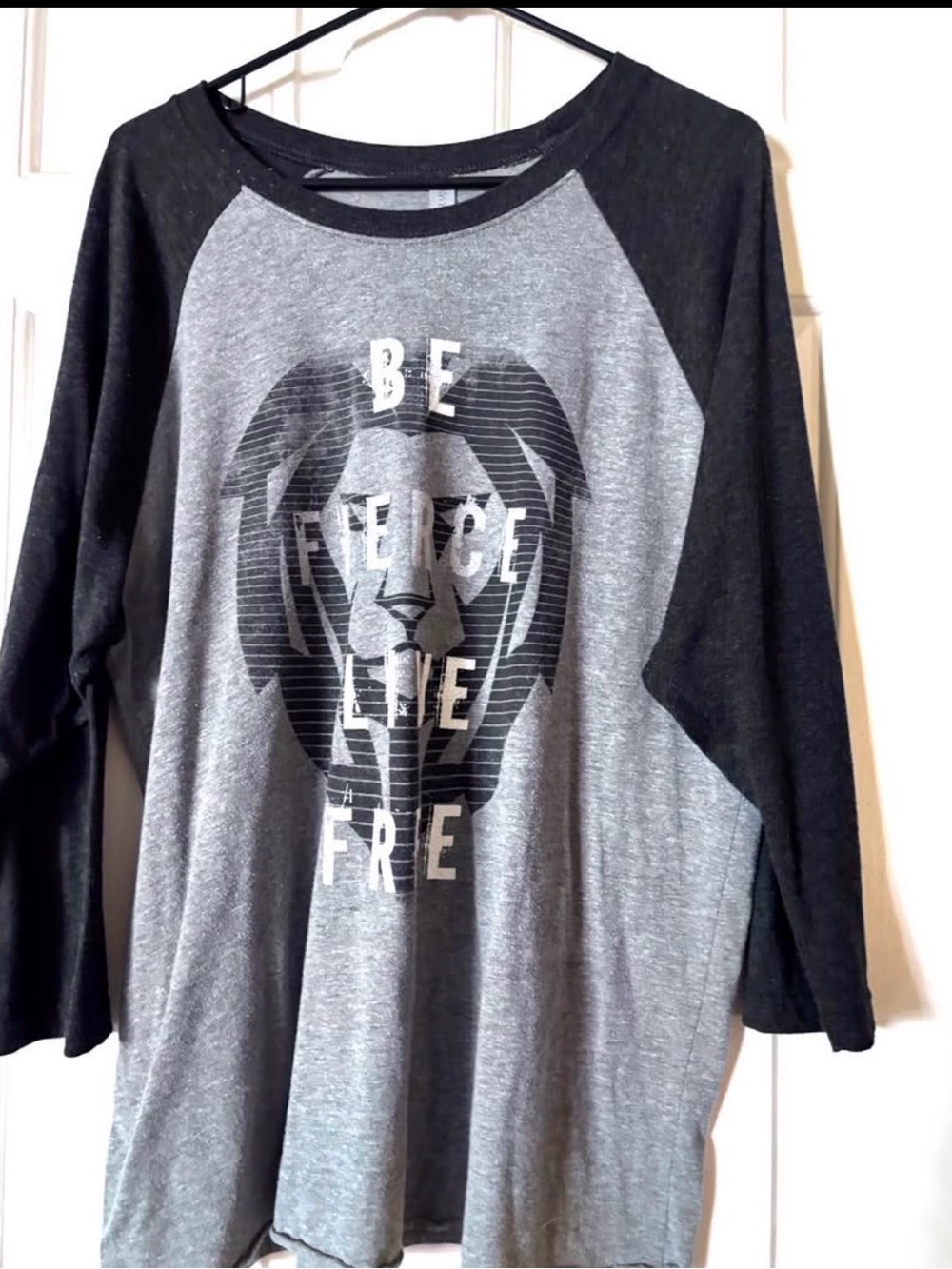Raglan Lion Graphic Tee - Gray & Black